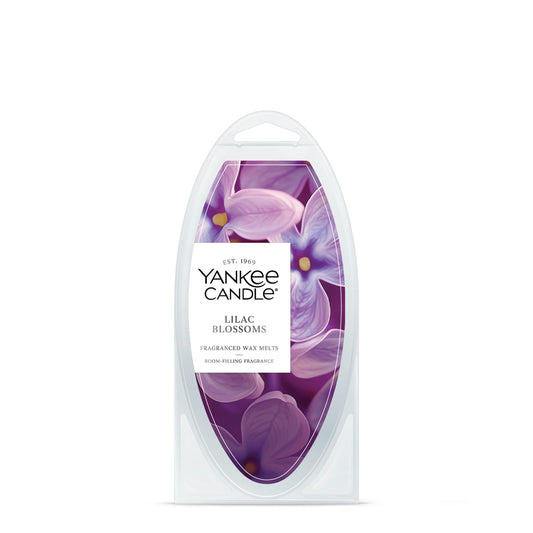 Lilac Blossoms IBNI